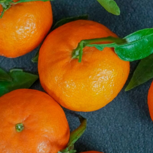 Врач Зухра Павлова рассказала, сколько мандаринов можно есть в день